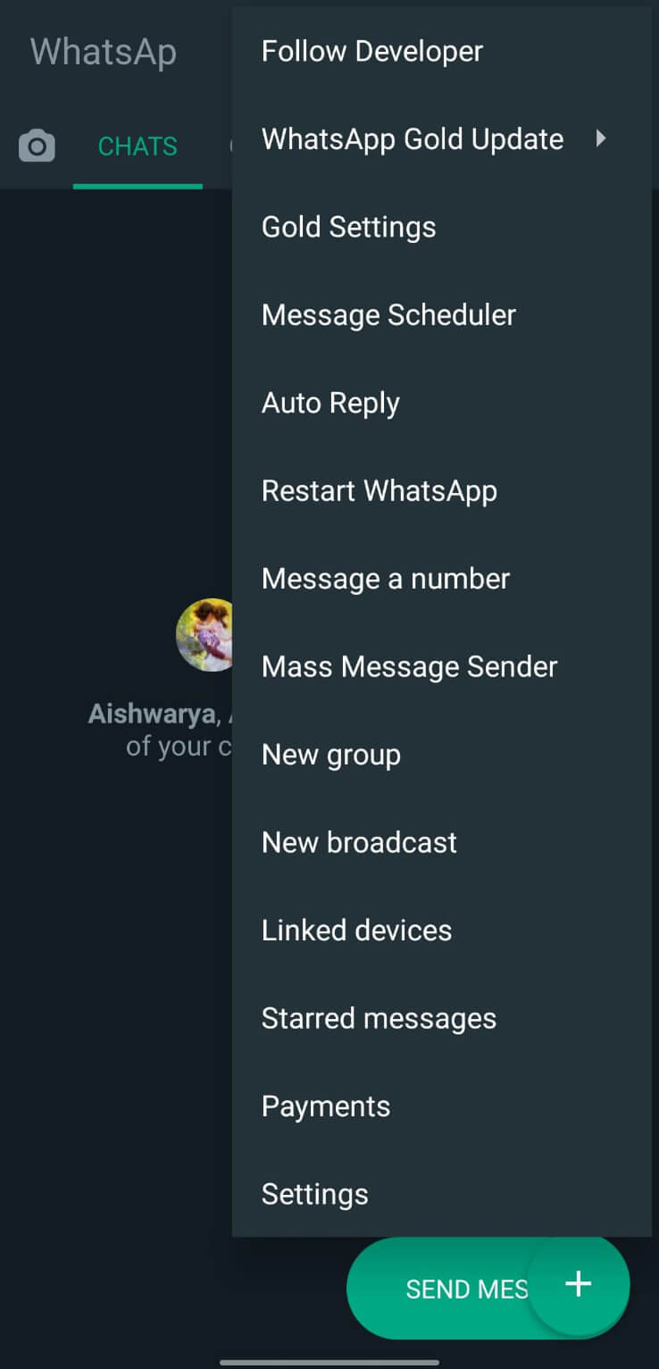 Screenshot WhatsApp Gold APK v44.10 Download