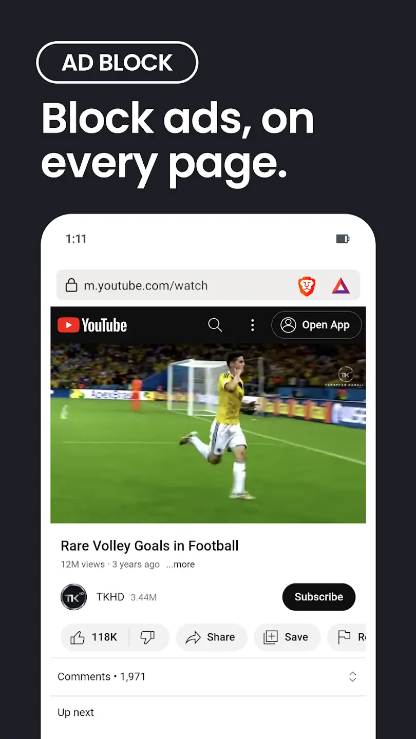 Screenshot Brave Browser APK