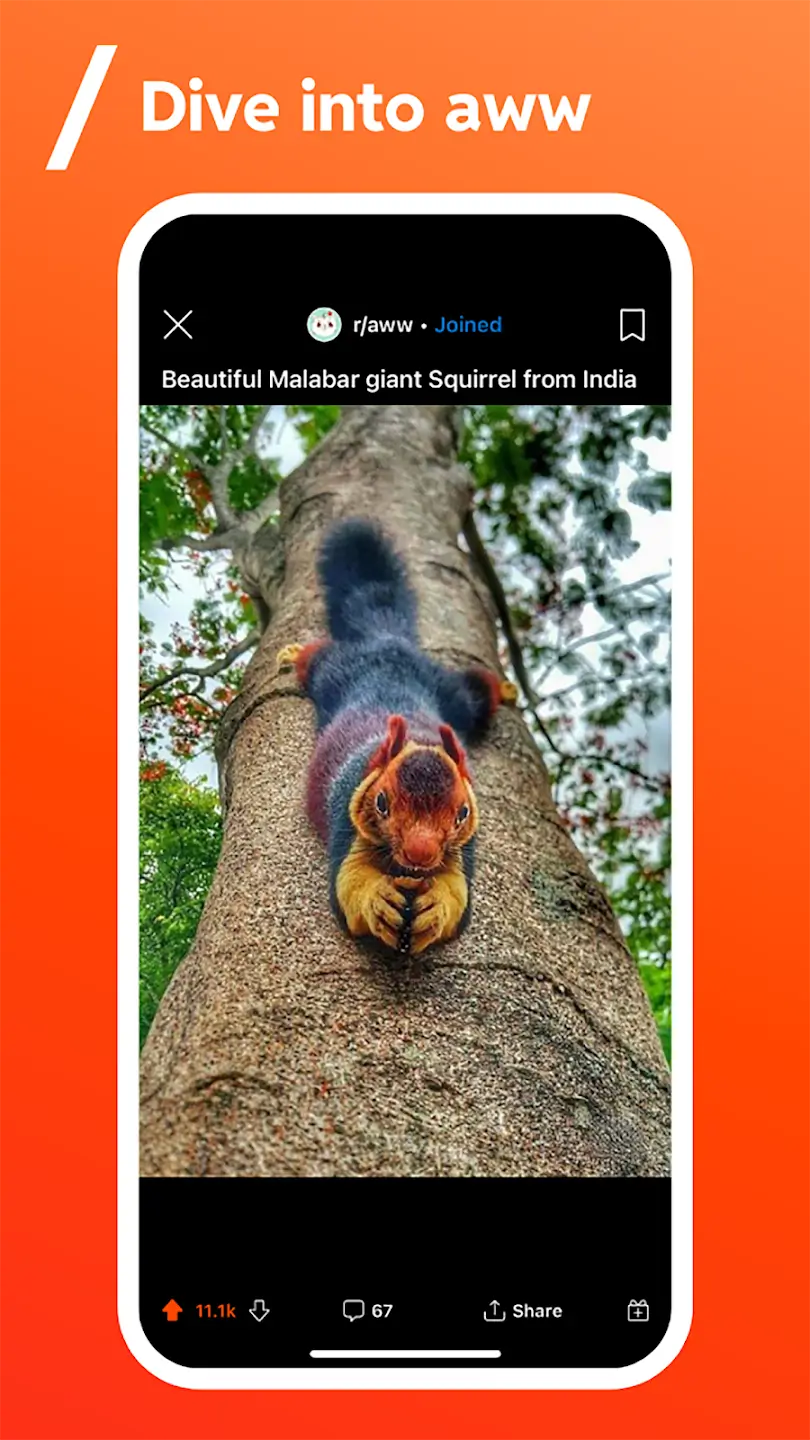 Screenshot Reddit APK versi 2026.18.0 untuk Android