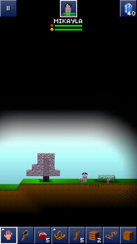 Screenshot The Blockheads APK
